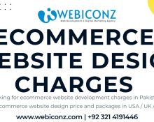 ecommerce website development packages, ecommerce website development in pakistan, cheap ecommerce websites, multi vendor ecommerce website price pakistan, ecommerce website,