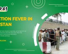 election fever in pakistan, political landscape, voter engagement