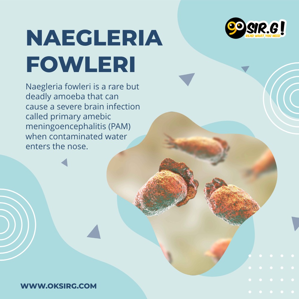 Naegleria fowleri, adequate nose protection, water temperature, educate yourself