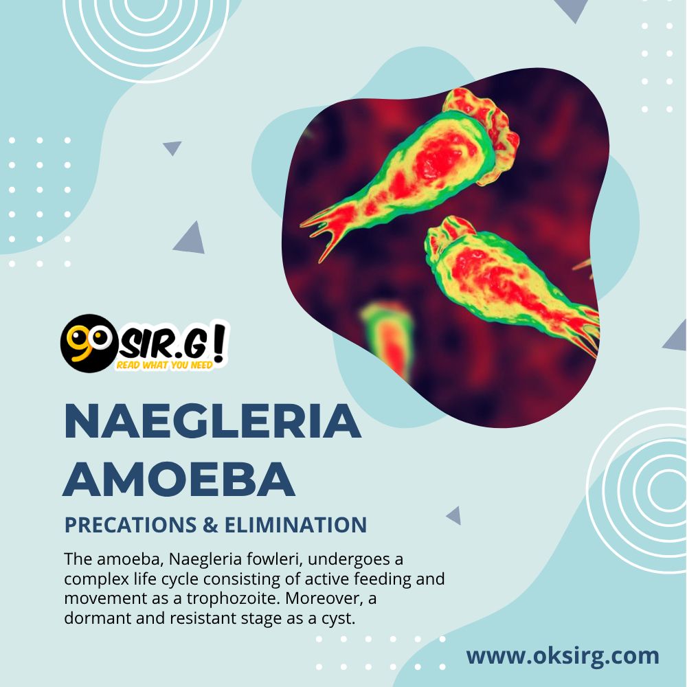 amoeba, life cycle, uv,