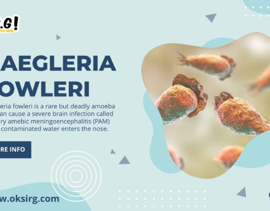 Naegleria fowleri, adequate nose protection, water temperature, educate yourself,