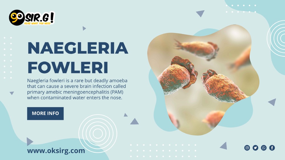 Naegleria fowleri, adequate nose protection, water temperature, educate yourself,